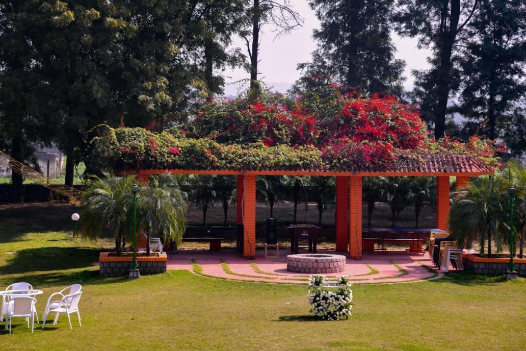 Villa Green Orchid Farms I Swimming Pool I Wedding I Party à Gurgaon Extérieur photo